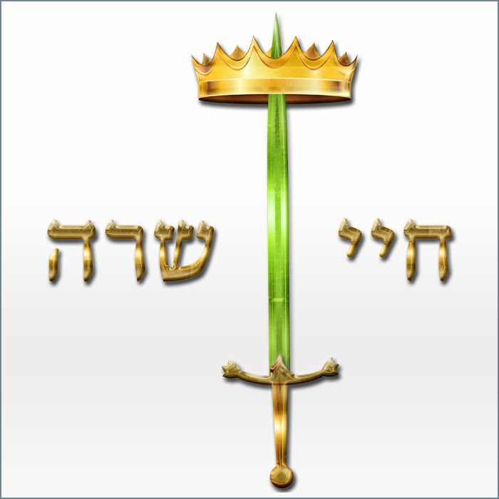 logo8